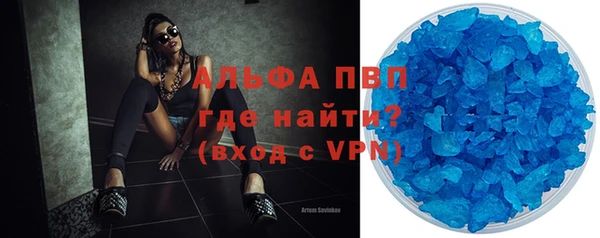 спиды Новодвинск
