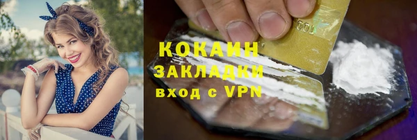 спиды Новодвинск