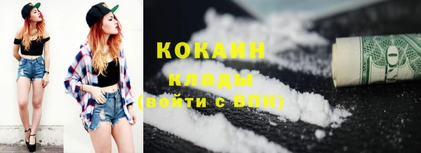СК Новозыбков