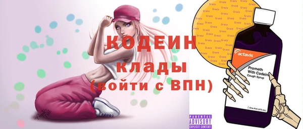 СК Новозыбков