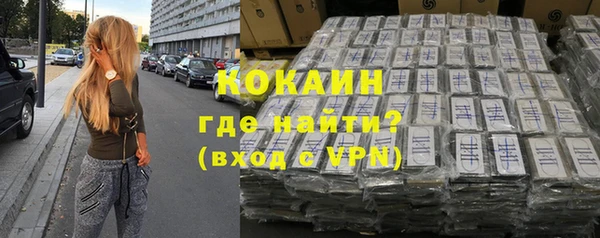 СК Новозыбков