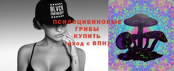 прущие крисы Новокубанск