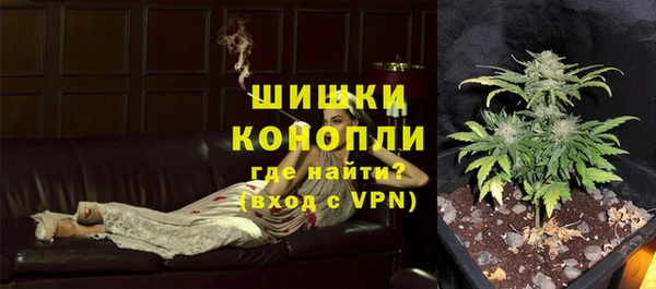 спиды Новодвинск