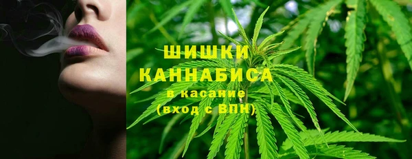 СК Новозыбков